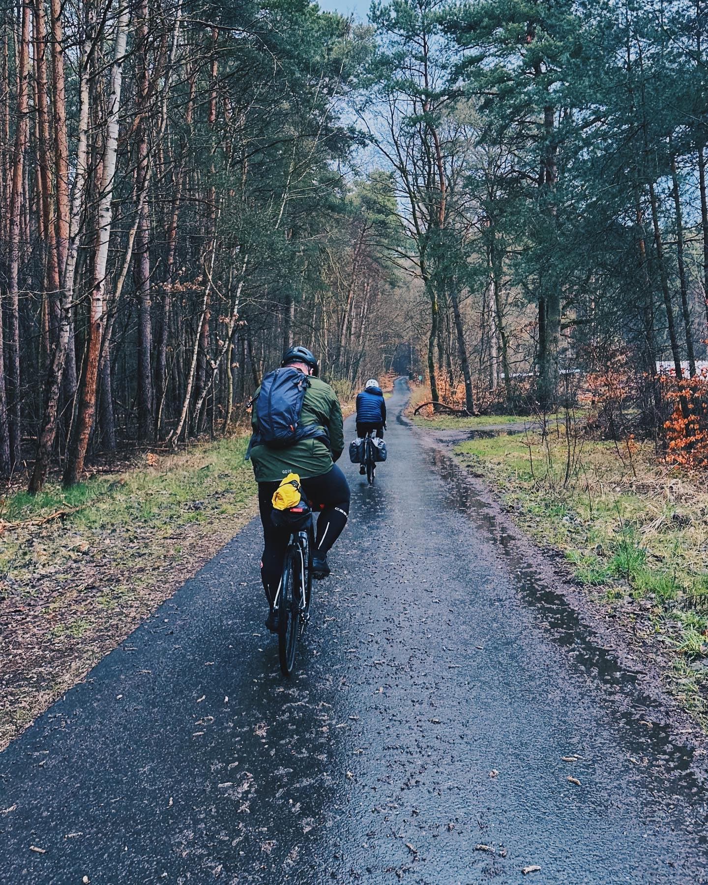 Two cyclists riding through a forest